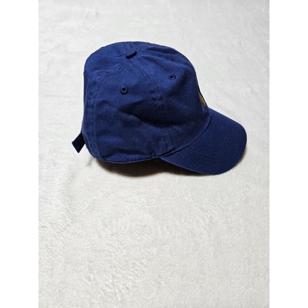 Newhattan Blue Pineapple Hat Cap Adjustable Back - Picture 6 of 8